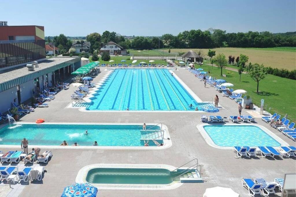 terme vivat